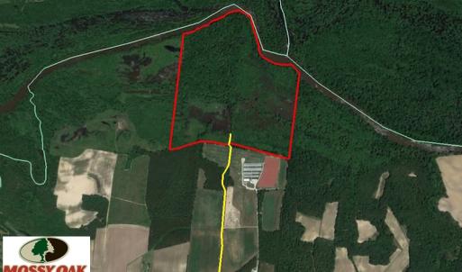 Photo of SOLD!  172 Acres of Riverfront Hunting and Timber Land For Sale in Craven County NC!