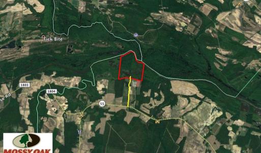Photo of SOLD!  172 Acres of Riverfront Hunting and Timber Land For Sale in Craven County NC!
