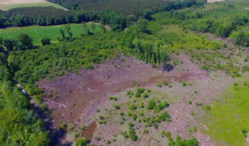 Photo of SOLD!  172 Acres of Riverfront Hunting and Timber Land For Sale in Craven County NC!