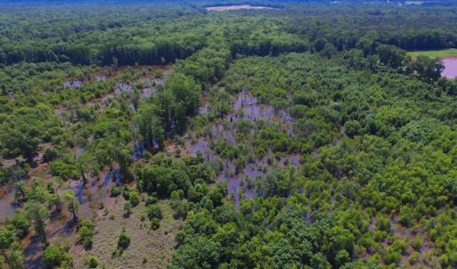 Photo of SOLD!  172 Acres of Riverfront Hunting and Timber Land For Sale in Craven County NC!