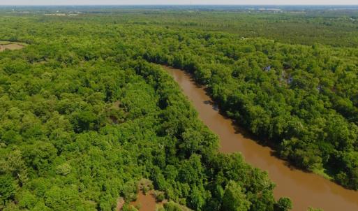 Photo of SOLD!  172 Acres of Riverfront Hunting and Timber Land For Sale in Craven County NC!