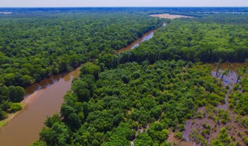 Photo of SOLD!  172 Acres of Riverfront Hunting and Timber Land For Sale in Craven County NC!
