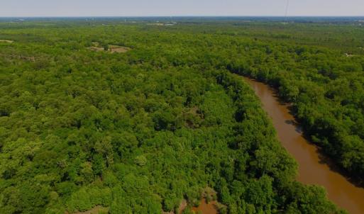 Photo of SOLD!  172 Acres of Riverfront Hunting and Timber Land For Sale in Craven County NC!