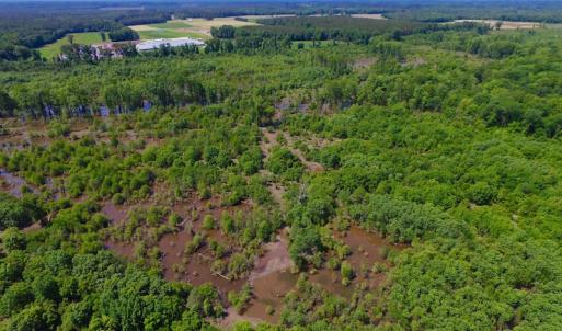 Photo of SOLD!  172 Acres of Riverfront Hunting and Timber Land For Sale in Craven County NC!