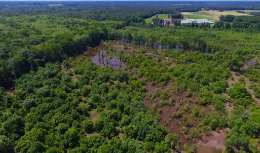 Photo of SOLD!  172 Acres of Riverfront Hunting and Timber Land For Sale in Craven County NC!