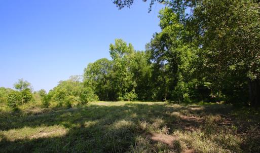 Photo of SOLD!  172 Acres of Riverfront Hunting and Timber Land For Sale in Craven County NC!