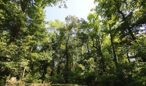 Photo of SOLD!  172 Acres of Riverfront Hunting and Timber Land For Sale in Craven County NC!