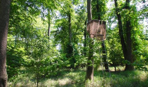 Photo of SOLD!  172 Acres of Riverfront Hunting and Timber Land For Sale in Craven County NC!