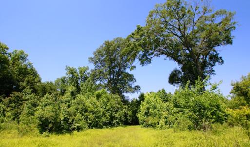 Photo of SOLD!  172 Acres of Riverfront Hunting and Timber Land For Sale in Craven County NC!