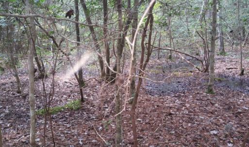 Photo of UNDER CONTRACT!  8.38 Acres of Timber and Hunting Land For Sale in Suffolk County VA!