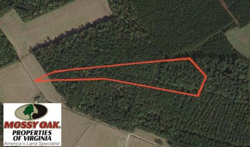 Photo of UNDER CONTRACT!  8.38 Acres of Timber and Hunting Land For Sale in Suffolk County VA!