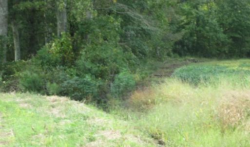 Photo of UNDER CONTRACT!  8.38 Acres of Timber and Hunting Land For Sale in Suffolk County VA!