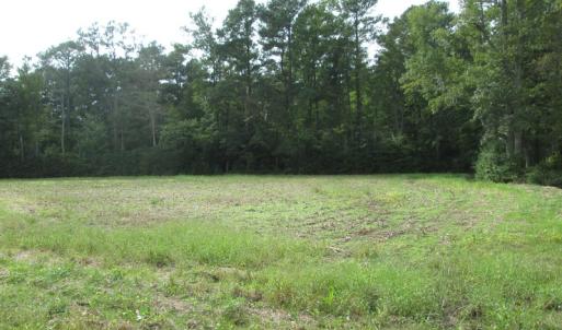 Photo of UNDER CONTRACT!  8.38 Acres of Timber and Hunting Land For Sale in Suffolk County VA!
