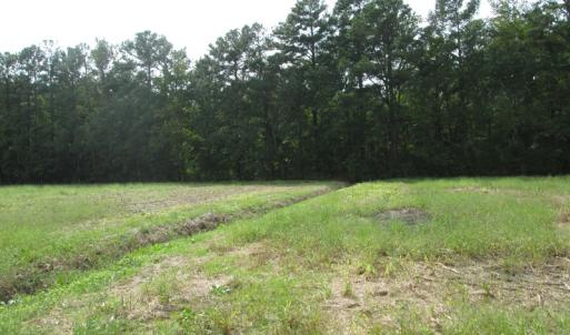 Photo of UNDER CONTRACT!  8.38 Acres of Timber and Hunting Land For Sale in Suffolk County VA!