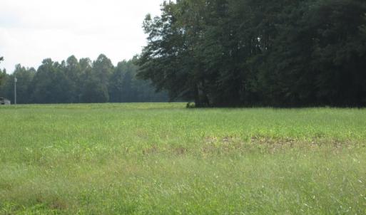 Photo of UNDER CONTRACT!  8.38 Acres of Timber and Hunting Land For Sale in Suffolk County VA!