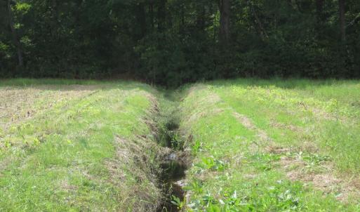 Photo of UNDER CONTRACT!  8.38 Acres of Timber and Hunting Land For Sale in Suffolk County VA!