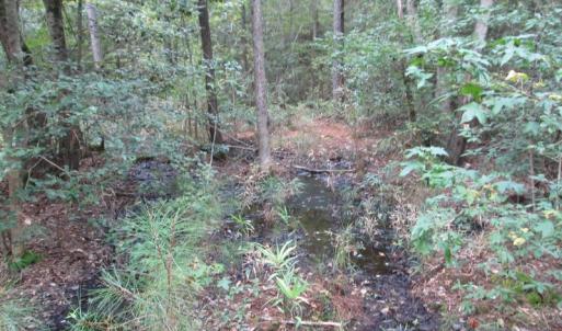 Photo of UNDER CONTRACT!  8.38 Acres of Timber and Hunting Land For Sale in Suffolk County VA!