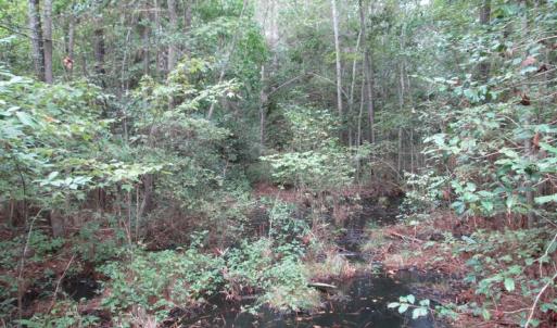 Photo of UNDER CONTRACT!  8.38 Acres of Timber and Hunting Land For Sale in Suffolk County VA!