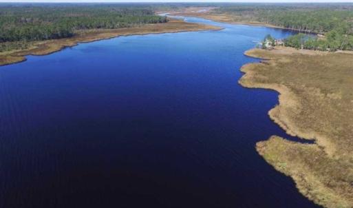 Photo of REDUCED!  442 Acres of Waterfront Hunting and Timber Land For Sale in Pamlico County NC!