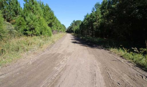 Photo of REDUCED!  442 Acres of Waterfront Hunting and Timber Land For Sale in Pamlico County NC!