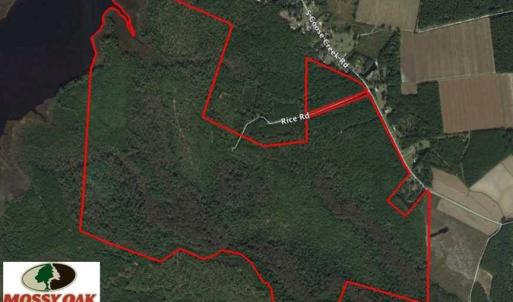 Photo of REDUCED!  442 Acres of Waterfront Hunting and Timber Land For Sale in Pamlico County NC!