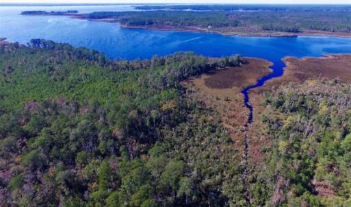 Photo of REDUCED!  442 Acres of Waterfront Hunting and Timber Land For Sale in Pamlico County NC!