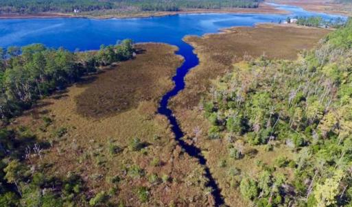 Photo of REDUCED!  442 Acres of Waterfront Hunting and Timber Land For Sale in Pamlico County NC!