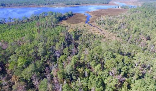 Photo of REDUCED!  442 Acres of Waterfront Hunting and Timber Land For Sale in Pamlico County NC!