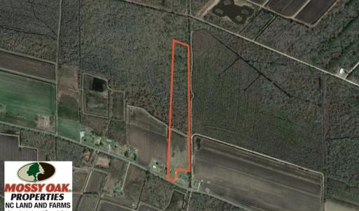 Photo of SOLD!  19.21 Acres of Hunting Land with Duck Impoundment For Sale in Hyde County NC!