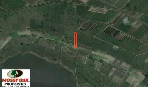 Photo of SOLD!  19.21 Acres of Hunting Land with Duck Impoundment For Sale in Hyde County NC!