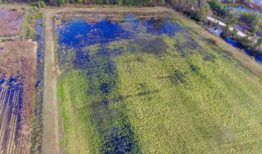 Photo of SOLD!  19.21 Acres of Hunting Land with Duck Impoundment For Sale in Hyde County NC!