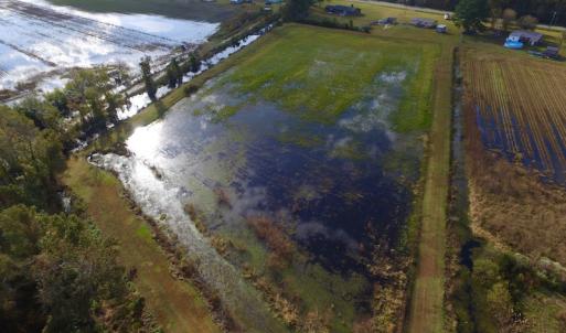 Photo of SOLD!  19.21 Acres of Hunting Land with Duck Impoundment For Sale in Hyde County NC!