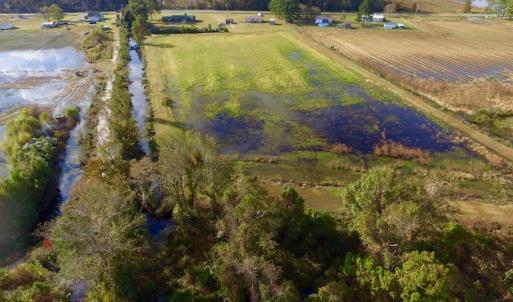 Photo of SOLD!  19.21 Acres of Hunting Land with Duck Impoundment For Sale in Hyde County NC!