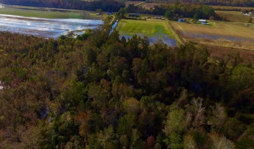 Photo of SOLD!  19.21 Acres of Hunting Land with Duck Impoundment For Sale in Hyde County NC!