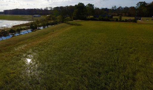 Photo of SOLD!  19.21 Acres of Hunting Land with Duck Impoundment For Sale in Hyde County NC!