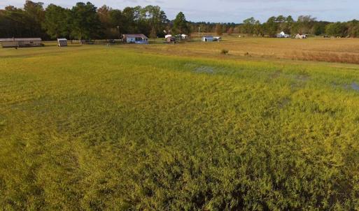 Photo of SOLD!  19.21 Acres of Hunting Land with Duck Impoundment For Sale in Hyde County NC!