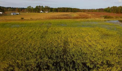 Photo of SOLD!  19.21 Acres of Hunting Land with Duck Impoundment For Sale in Hyde County NC!