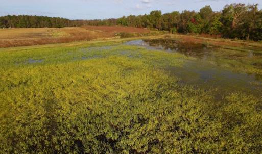 Photo of SOLD!  19.21 Acres of Hunting Land with Duck Impoundment For Sale in Hyde County NC!