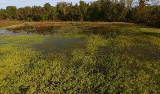 Photo of SOLD!  19.21 Acres of Hunting Land with Duck Impoundment For Sale in Hyde County NC!