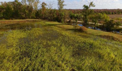 Photo of SOLD!  19.21 Acres of Hunting Land with Duck Impoundment For Sale in Hyde County NC!