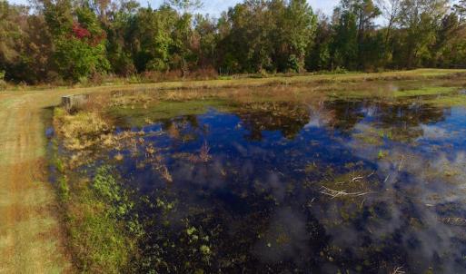 Photo of SOLD!  19.21 Acres of Hunting Land with Duck Impoundment For Sale in Hyde County NC!