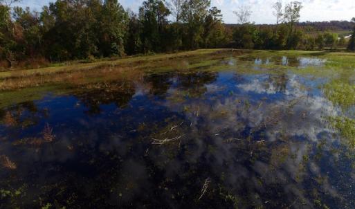 Photo of SOLD!  19.21 Acres of Hunting Land with Duck Impoundment For Sale in Hyde County NC!