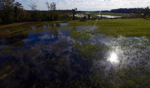 Photo of SOLD!  19.21 Acres of Hunting Land with Duck Impoundment For Sale in Hyde County NC!