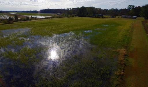 Photo of SOLD!  19.21 Acres of Hunting Land with Duck Impoundment For Sale in Hyde County NC!
