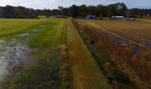 Photo of SOLD!  19.21 Acres of Hunting Land with Duck Impoundment For Sale in Hyde County NC!