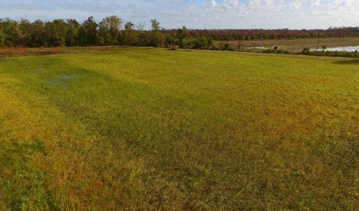 Photo of SOLD!  19.21 Acres of Hunting Land with Duck Impoundment For Sale in Hyde County NC!