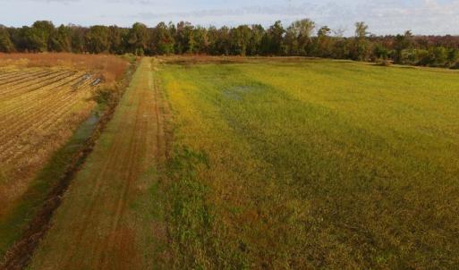 Photo of SOLD!  19.21 Acres of Hunting Land with Duck Impoundment For Sale in Hyde County NC!