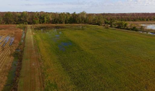 Photo of SOLD!  19.21 Acres of Hunting Land with Duck Impoundment For Sale in Hyde County NC!