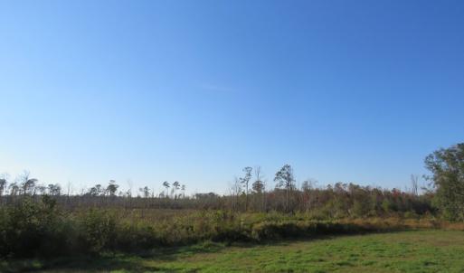 Photo of UNDER CONTRACT!  122 Acres of Duck Hunting Land For Sale in Robeson County NC!