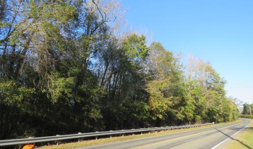 Photo of UNDER CONTRACT!  122 Acres of Duck Hunting Land For Sale in Robeson County NC!